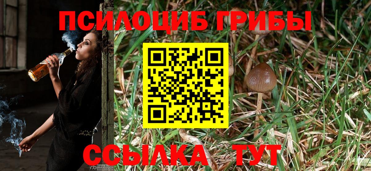Старая Русса  Галлюциногенные грибы Cubensis  Псилоцибиновые грибы GOLDEN TEACHER  Вход с VPN 