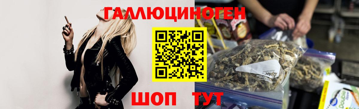 Псилоцибиновые грибы MAGIC MUSHROOMS Старая Русса